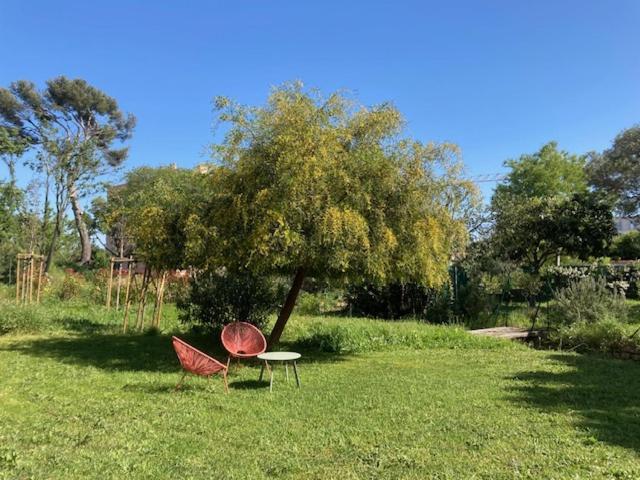 Un Jardin Dans La Ville La Ciotat Eksteriør bilde